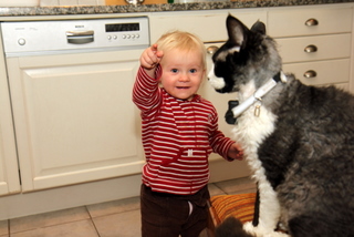 Image Thumbnail